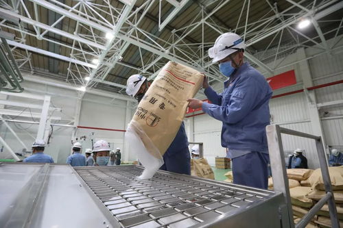 決戰(zhàn),十二天建起一座廠